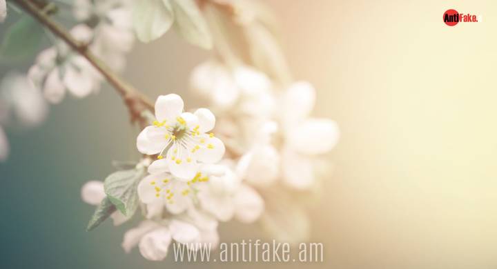 any